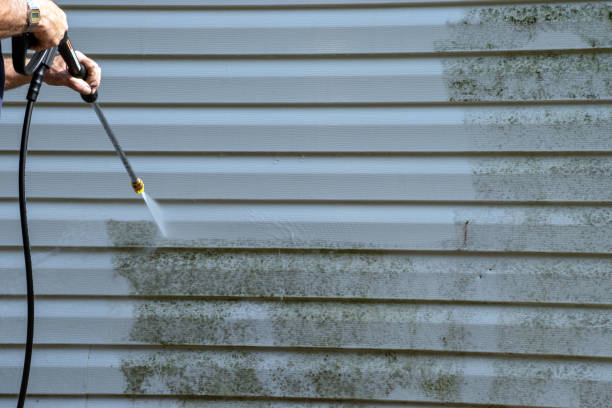 Affordable Siding Repair and Maintenance Services in Jeffersonville, KY